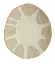 Runder, handgefertigt wirkender Keramikteller in Beige mit weißer, rissiger Glasur in organischem Sonnen-/Korallenmuster, Draufsicht (Top-Down) auf weißem Hintergrund