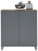 Moderner grauer Schuhschrank mit zwei Türen, dekoriert mit einer Vase und einer Schale auf der Oberseite, Frontalansicht.