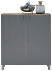 Moderner grauer Schuhschrank mit zwei Türen, dekoriert mit einer Vase und einer Schale auf der Oberseite, Frontalansicht.