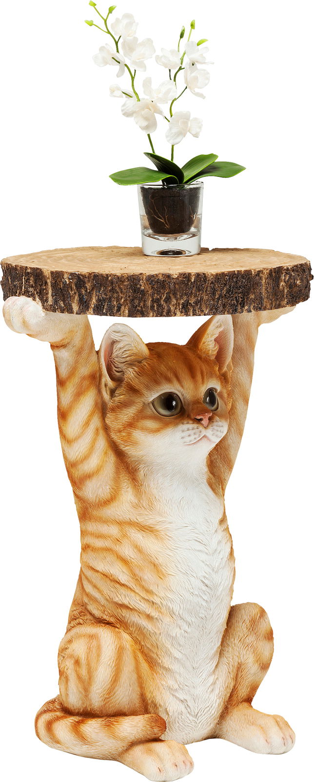 Beistelltisch in Form einer sitzenden Katze, die eine runde Holzplatte trägt, mit einer weißen Blume in einem Glasgefäß darauf, aus der Frontalperspektive.