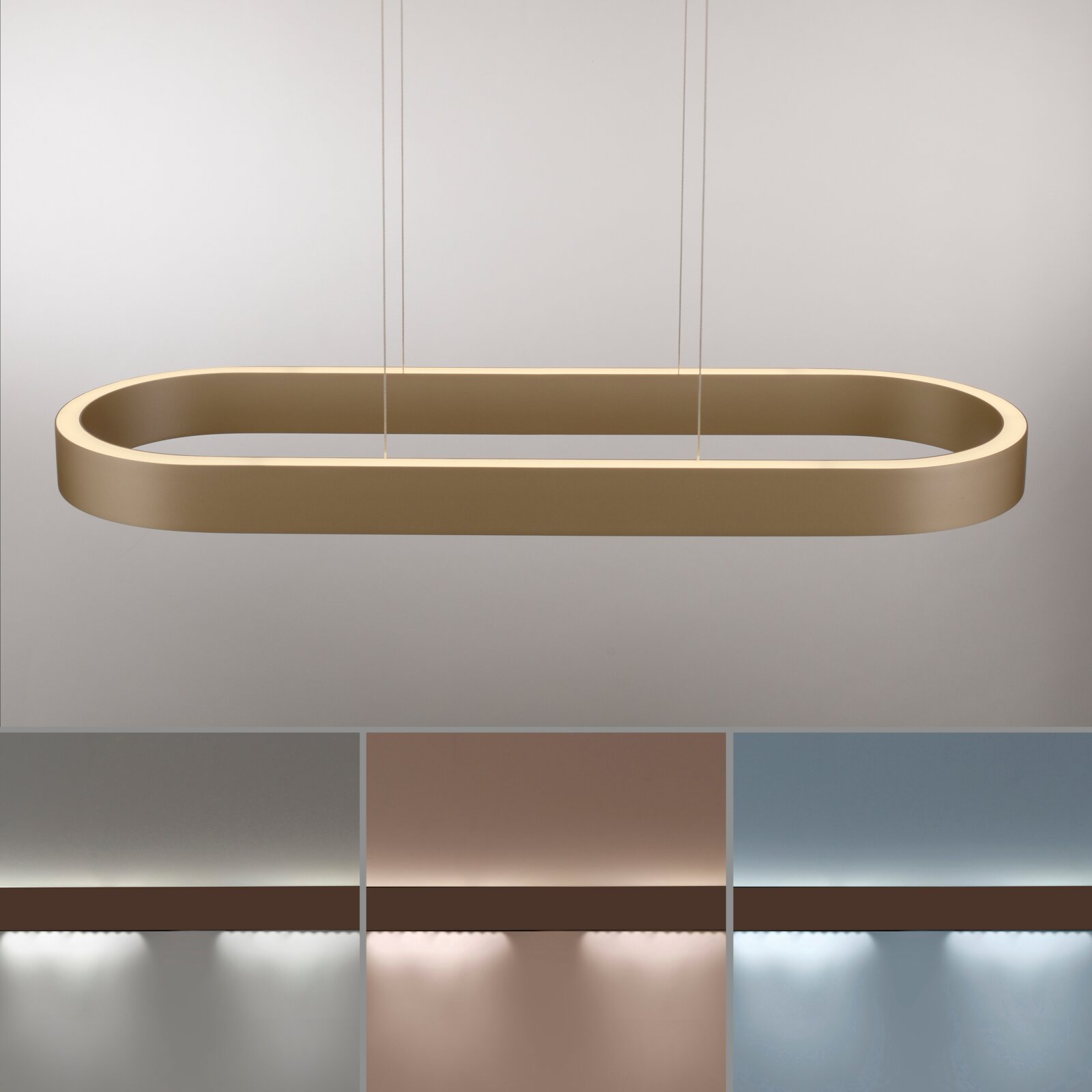 Ovaler LED-Pendelleuchten-Ring in Goldoptik, frontal in leichter Untersicht an dünnen Seilen vor hellem Hintergrund, unten Farbauswahl in Silber, Roségold und Blau