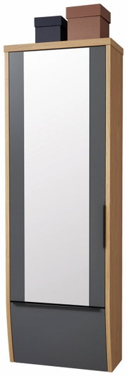 Hänge-Spiegelgarderobenschrank in Holzoptik mit grauen Akzenten, frontal abgebildet, mit zwei Aufbewahrungsboxen oben.