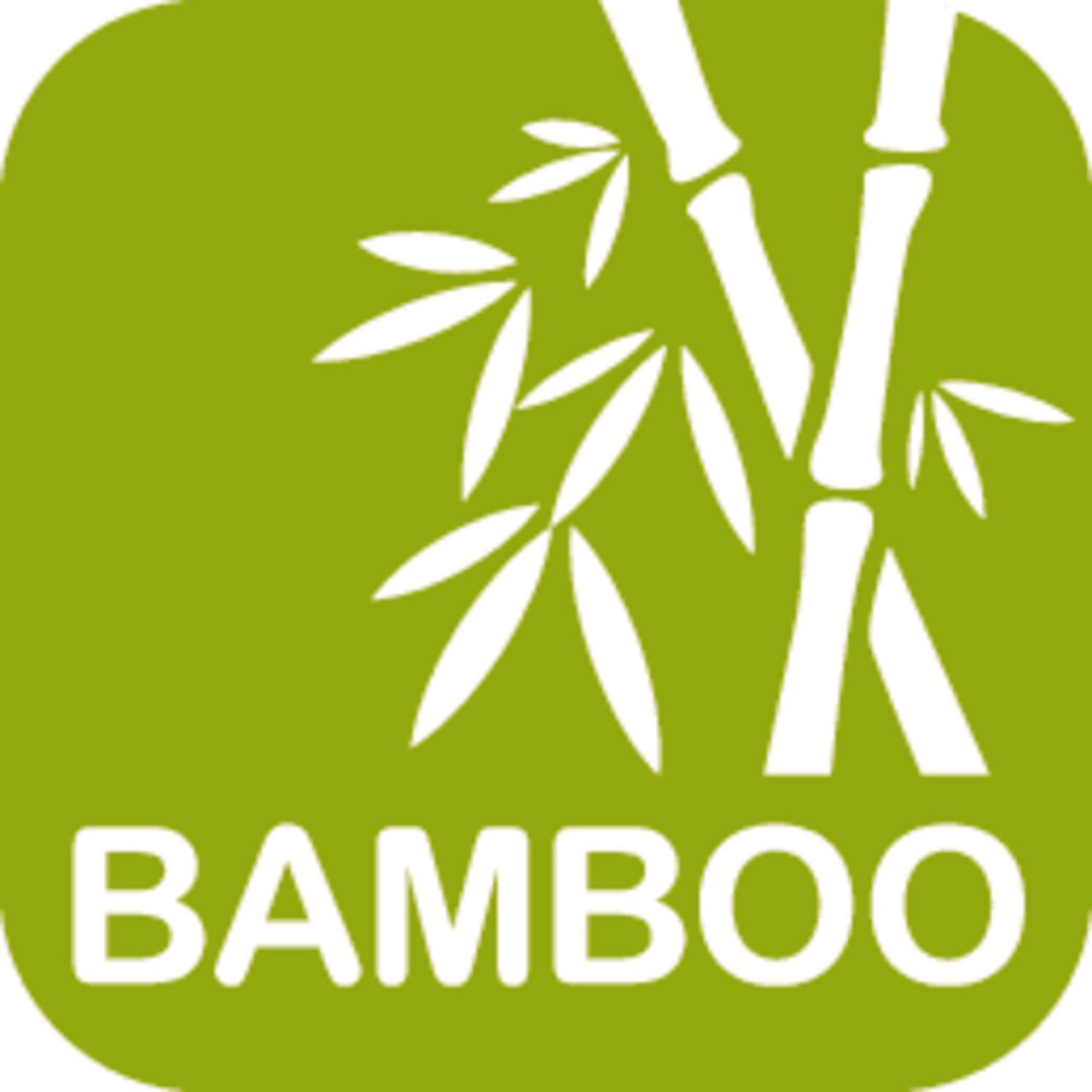 Grünes Logo mit weißen Bambuszweigen und dem Wort 'BAMBOO', Vorderansicht