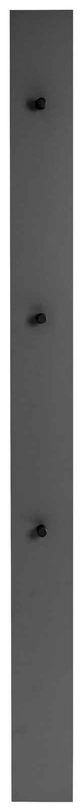 Garderobenpaneel in dunklem Grau mit drei Haken, frontal abgebildet.