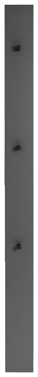 Garderobenpaneel in dunklem Grau mit drei Haken, frontal abgebildet.