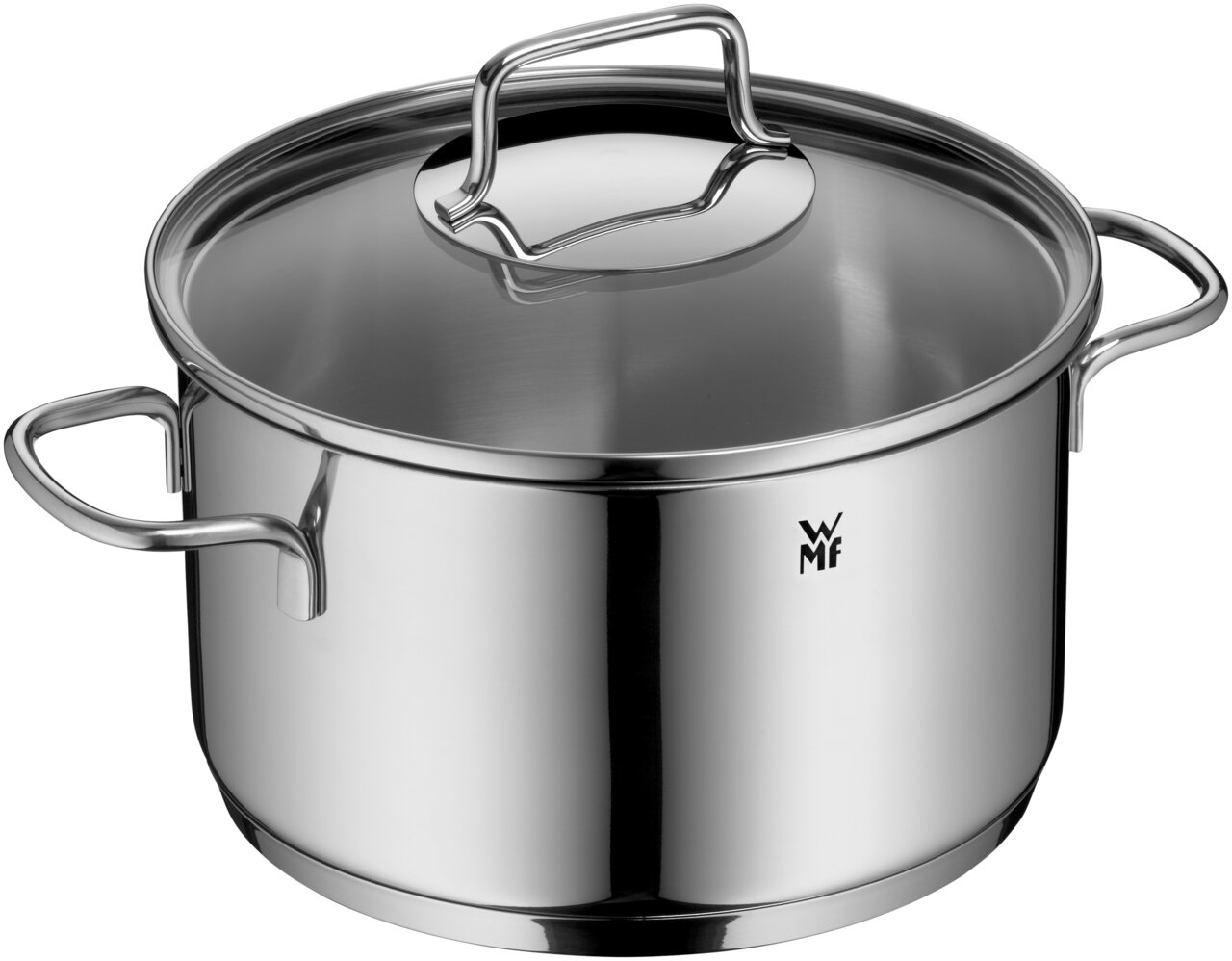 Edelstahlkochtopf mit Deckel und zwei Griffen, seitliche Perspektive