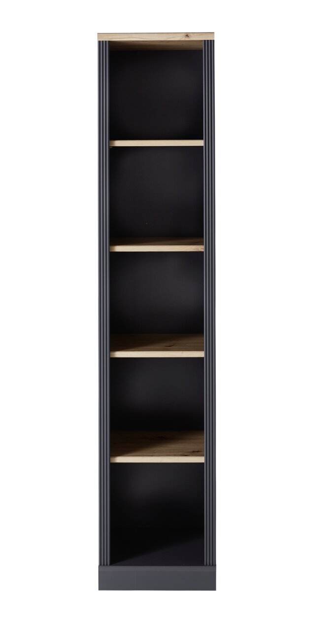 Vooraanzicht van een moderne boekenkast met zwarte zijkanten en houten planken.