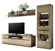 Moderne Wandkombination aus Holz mit TV-Schrank, Regal und Vitrine, frontal betrachtet.