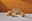 Vier gelbe Becher in verschiedenen Größen auf einem Tisch, mit einem warmen orangefarbenen Hintergrund, aus seitlicher Perspektive fotografiert.