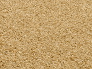 Nahaufnahme eines beigen Uni-Teppichs mit flauschiger Textur, von oben betrachtet.