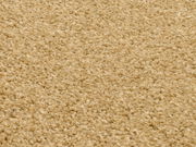 Nahaufnahme eines beigen Uni-Teppichs mit flauschiger Textur, von oben betrachtet.