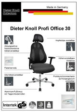 Bürostuhl Dieter Knoll Profi Office 30 mit atmungsaktiver Netzrückenlehne, verstellbarer Kopfstütze und Armlehnen, höhenverstellbarem Sitz, Aluminium-Fußkreuz mit Teppichbodenrollen, seitliche Perspektive.