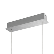 Rechthoekige, zilverkleurige plafondbeugel van geborsteld metaal voor een hanglamp met twee ophangkabels, schuin van onderaf in perspectief op een witte achtergrond