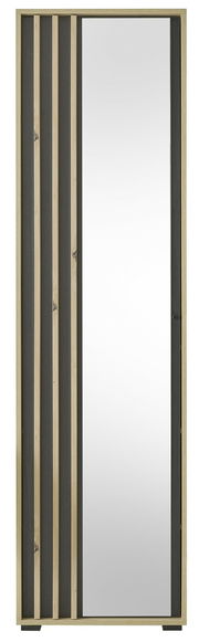 Frontansicht eines Garderobenschranks mit Spiegel und Holzleisten in modernem Design.