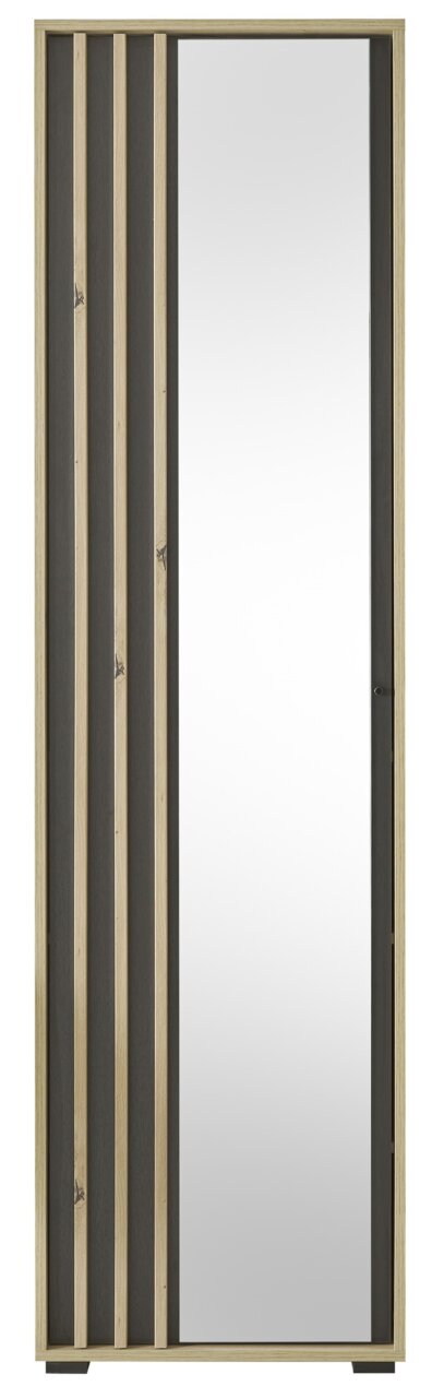 Frontansicht eines Garderobenschranks mit Spiegel und Holzleisten in modernem Design.