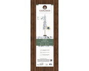 Verpackung der beschneiten Alpinen Tanne von Everlands, Vorderansicht