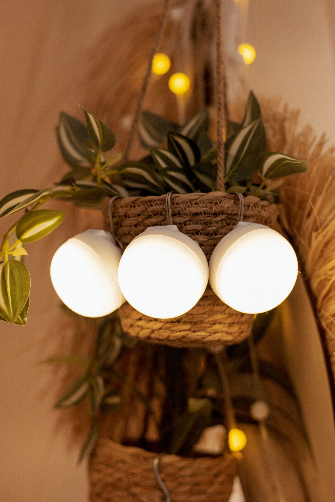 Nahaufnahme aus leicht seitlicher Frontperspektive: leuchtende Lichterkette mit drei runden, weißen Kugellampen vor einem geflochtenen Hängekorb mit grünen Pflanzen und warmem Hintergrundlicht.