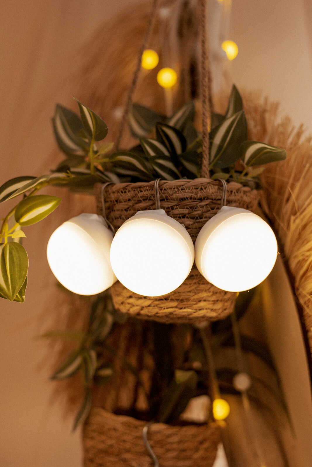 Nahaufnahme aus leicht seitlicher Frontperspektive: leuchtende Lichterkette mit drei runden, weißen Kugellampen vor einem geflochtenen Hängekorb mit grünen Pflanzen und warmem Hintergrundlicht.