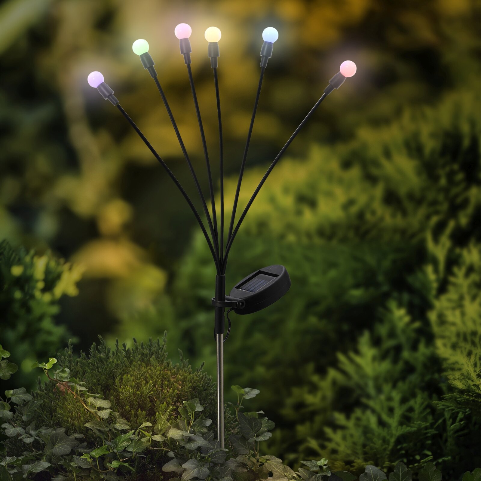 Lumineo Solar Stabbeleuchtung BELEUCHTUNG26 Solar Stabbeleuchtung mit sechs bunten LED-Lichtern in einem Garten, seitliche Perspektive