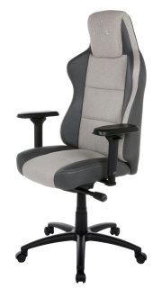 Seitliche Ansicht eines grauen Gaming-Stuhls mit verstellbaren Armlehnen und ergonomischem Design.