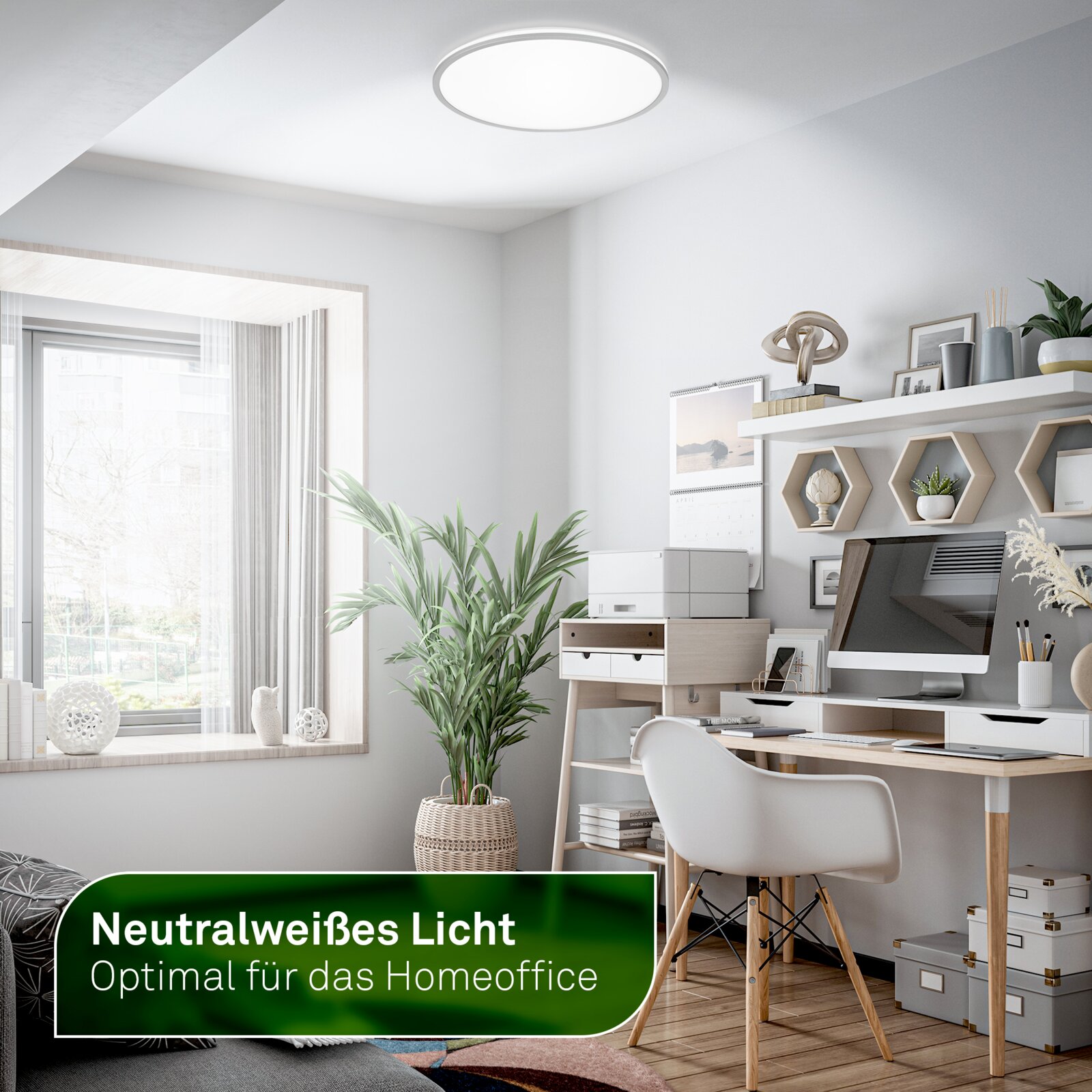 Briloner LED-plafondlamp PULAP A Ronde, vlakke led-plafondlamp met neutraalwit licht in een modern thuiskantoor, vanuit een schuin onderaanzicht weergegeven