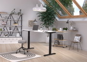 Moderner höhenverstellbarer E-Schreibtisch in einem stilvollen, hellen Raum mit Dachfenster, Pflanzen und Regalen, seitliche Perspektive.