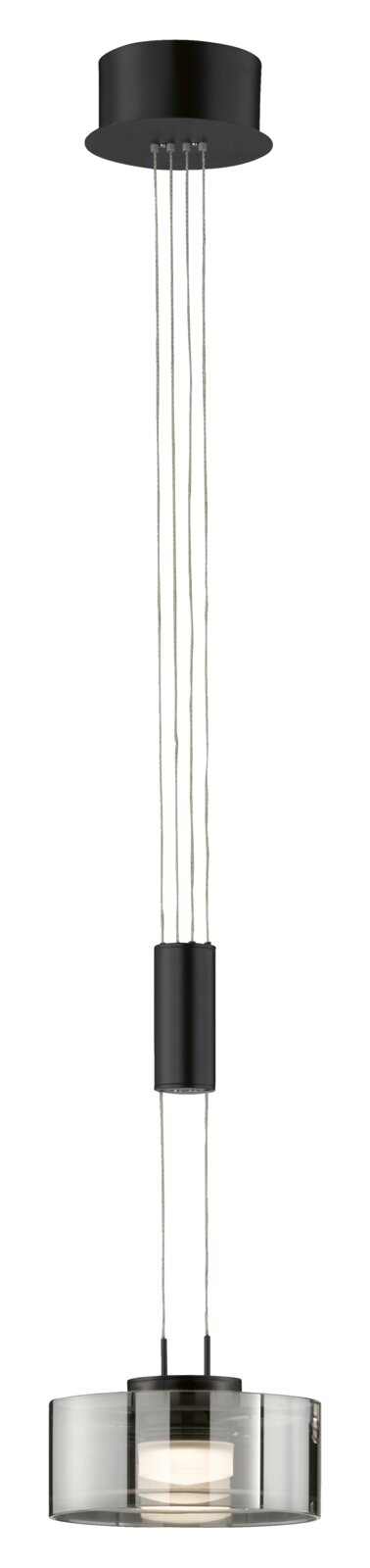 Fischer & Honsel Pendelleuchte LAVIN Moderne Pendelleuchte Lavin in schwarzem Design, von unten nach oben fotografiert, mit transparentem Lampenschirm und mehreren Kabeln.