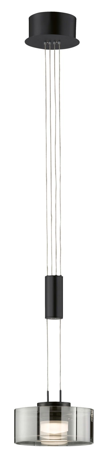 Moderne Pendelleuchte Lavin in schwarzem Design, von unten nach oben fotografiert, mit transparentem Lampenschirm und mehreren Kabeln.