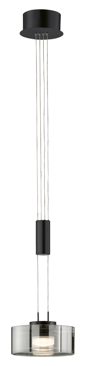 Fischer & Honsel Hanglamp LAVIN Moderne hanglamp Lavin in zwart, gefotografeerd van onderaf, met een transparante lampenkap en meerdere kabels.