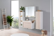 Moderner Spiegelschrank in einem stilvollen Badezimmer, frontal betrachtet, mit Pflanzen und Dekorationen.