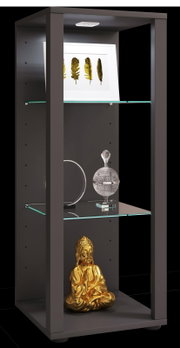 Modernes schwarzes Regal/Vitrine mit Glasböden und LED-Spot oben, dekoriert mit gerahmtem Blattbild, Kristall-Dose und goldener Buddha-Figur; Ansicht schräg von vorn.
