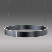 Moderne schwarze Pendelleuchte PURE E-Clipse in Ringform, seitliche Perspektive