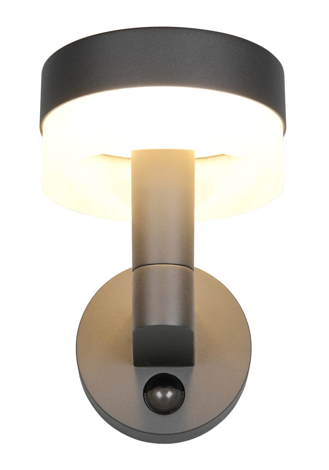 Moderne LED-buitenwandlamp in een donkere behuizing met een ronde lichtkap, afgebeeld van voren.