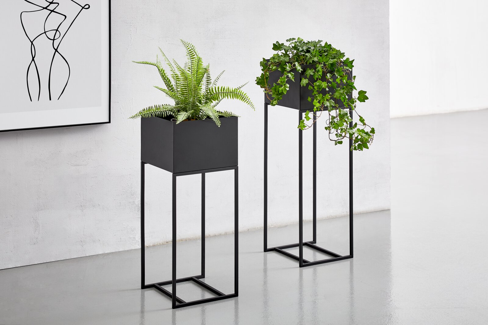 Twee moderne, zwarte bloemenpalen met planten, op een lichte vloer voor een witte muur. Aanzicht van voren.