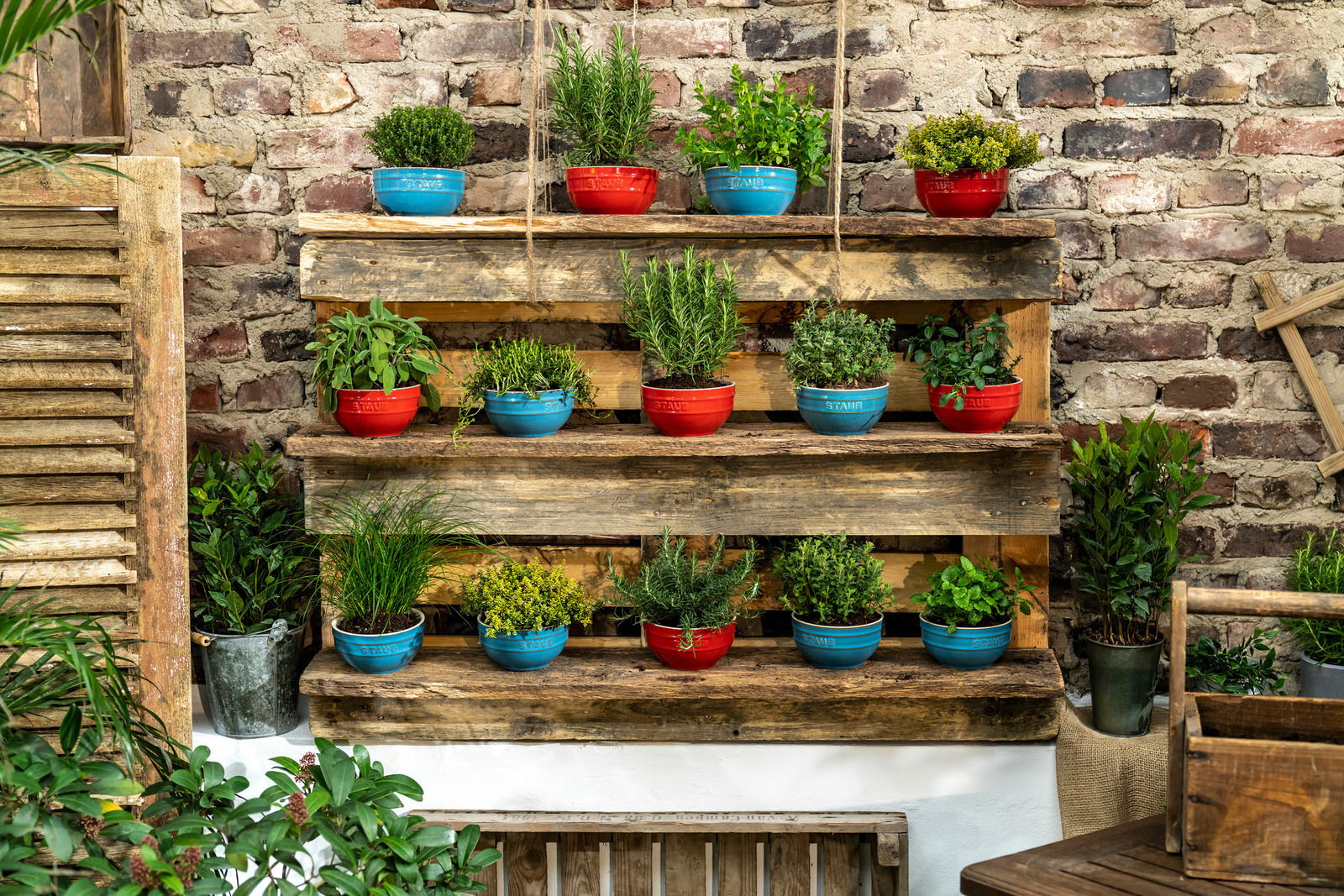 Verschiedene bunte Schüsseln mit Pflanzen auf einem rustikalen Holzregal vor einer Ziegelwand, aus der Perspektive von vorne.