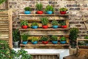 Verschiedene bunte Schüsseln mit Pflanzen auf einem rustikalen Holzregal vor einer Ziegelwand, aus der Perspektive von vorne.