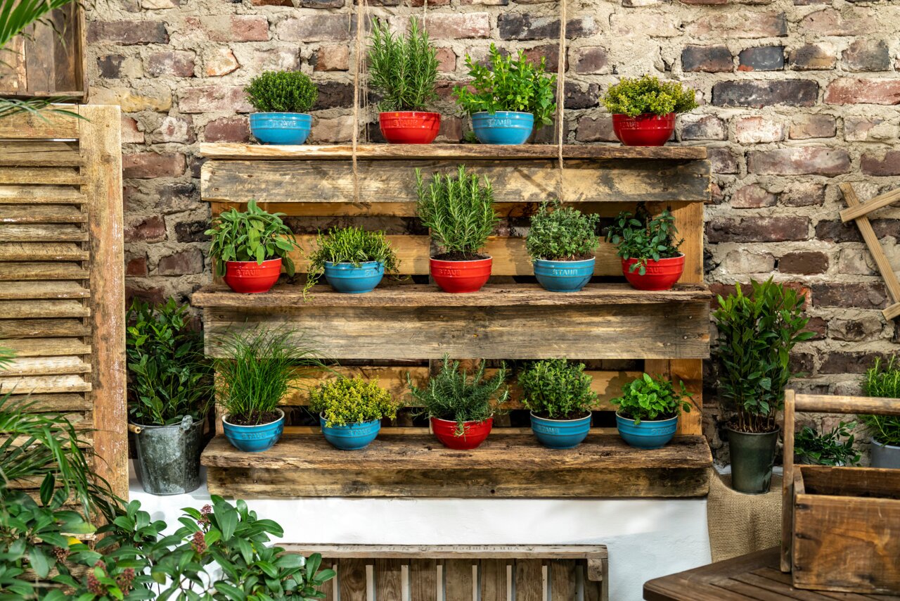 Verschiedene bunte Schüsseln mit Pflanzen auf einem rustikalen Holzregal vor einer Ziegelwand, aus der Perspektive von vorne.