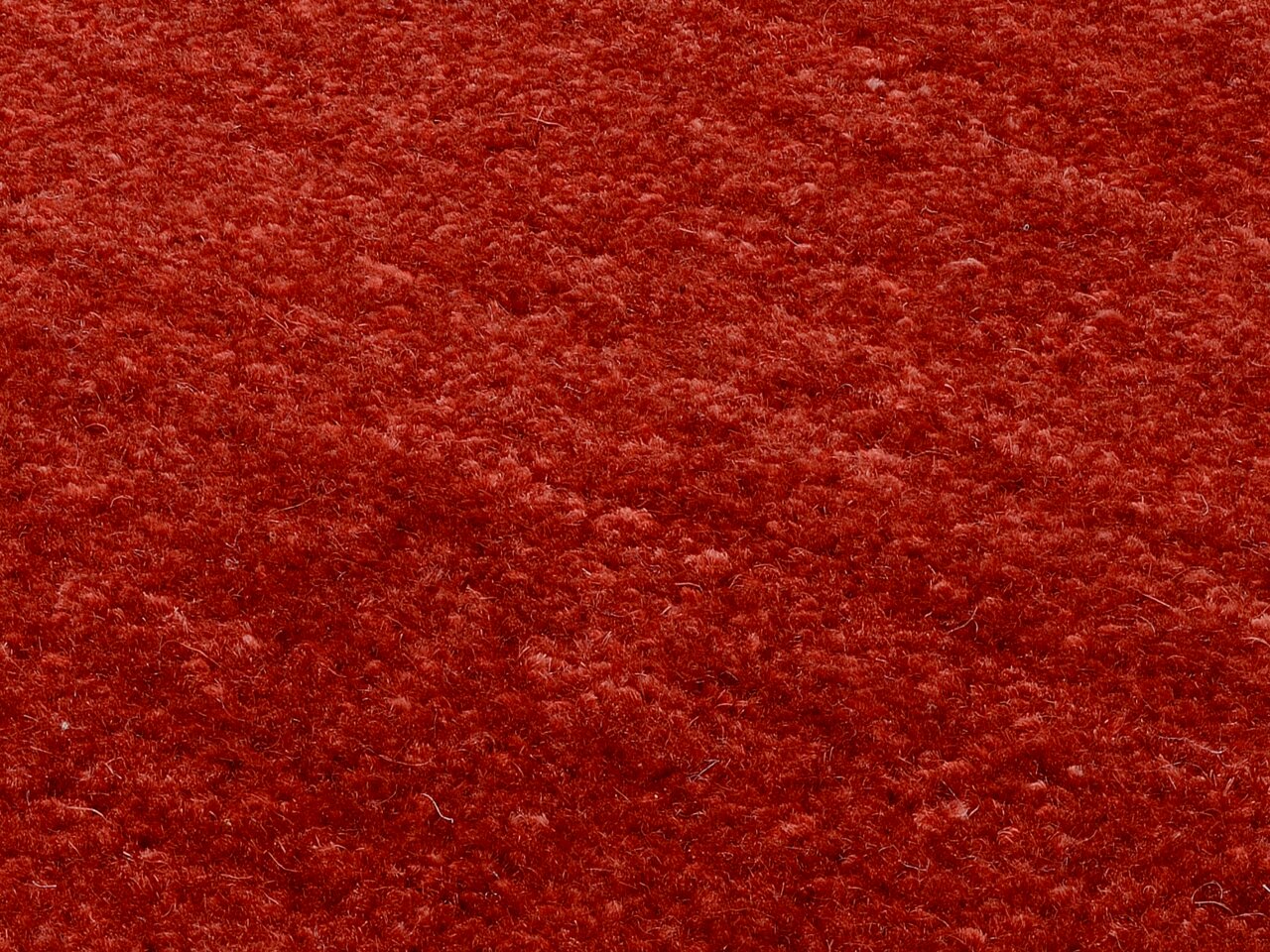 Nahaufnahme eines roten Wollteppichs mit flauschiger Textur.