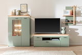Modernes Wohnzimmer mit grünem Wandregal, TV-Schrank und Vitrine, seitliche Perspektive.