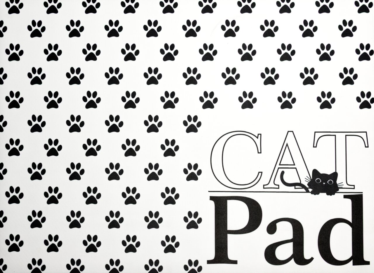 Fressnapfunterlage mit schwarzen Pfotenabdrücken und der Aufschrift 'CAT Pad' aus der Vogelperspektive