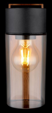 Moderne Außenleuchte mit Glaszylinder und sichtbarer Glühbirne, Frontalansicht