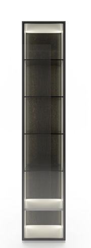 Frontansicht einer modernen Vitrinenkombination mit Glasregalen und Beleuchtung.