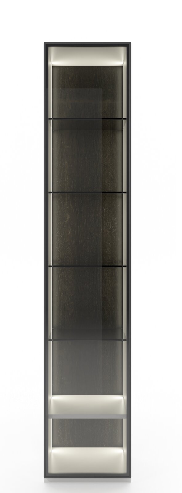 Frontansicht einer modernen Vitrinenkombination mit Glasregalen und Beleuchtung.