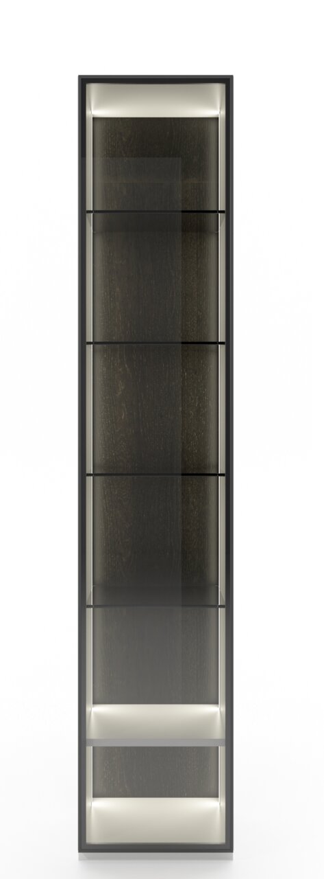 Frontansicht einer modernen Vitrinenkombination mit Glasregalen und Beleuchtung.