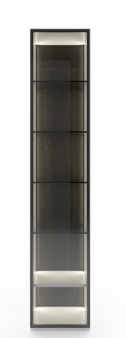 Frontansicht einer modernen Vitrinenkombination mit Glasregalen und Beleuchtung.