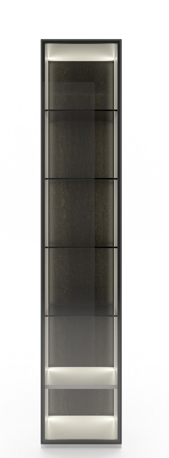 Frontansicht einer modernen Vitrinenkombination mit Glasregalen und Beleuchtung.