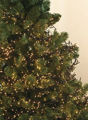 Nahaufnahme eines Weihnachtsbaums mit warmweißer LED-Clusterbeleuchtung, die gleichmäßig um die Zweige gewickelt ist.