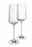 JOOP! Champagnerglas 2er-Set DINING GLAMOUR Zwei elegante Champagnergläser aus klarem Glas mit langem Stiel, von der Seite betrachtet, mit dezentem Logo auf dem Kelch.