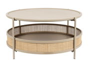 Runder Couchtisch mit zwei Ebenen, Metallrahmen und Korbgeflecht, seitliche Perspektive