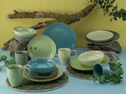 Kombiservice 16-tlg. Nature sc in einer natürlichen Umgebung mit Moos und Zweigen, aus der Vorderansicht fotografiert. Das Set besteht aus Tellern, Schalen und Tassen in verschiedenen Grüntönen und Blau.